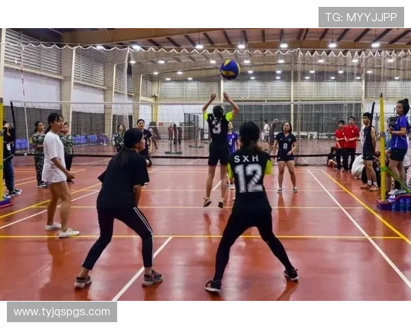 杭州排球队在城市联赛中的比赛经验与表现分析